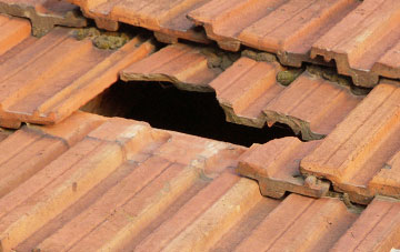 roof repair Woodcombe, Somerset